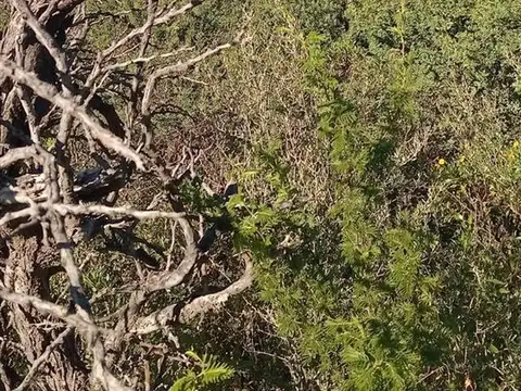 Terreno en Venta de 1700,0 m2