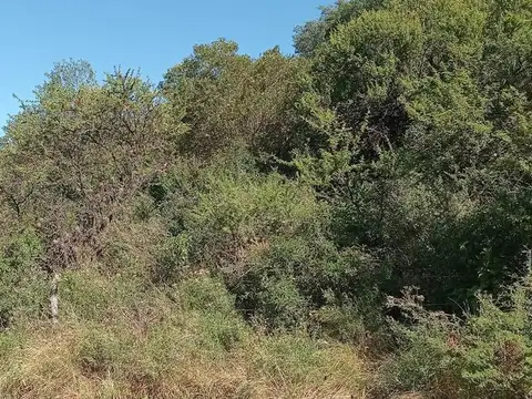 Avenida Latinoamerica 1100