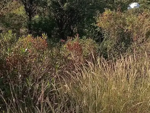 Avenida Latinoamerica 1100