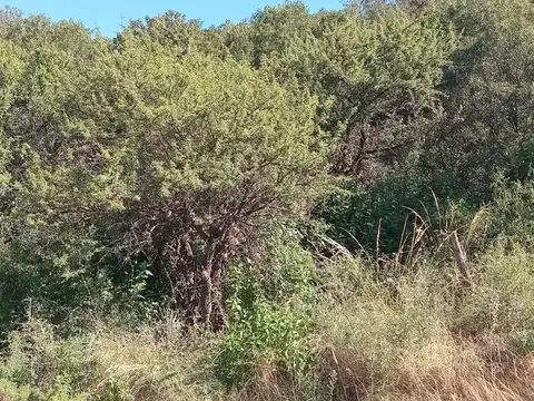 Terreno en Venta en Capilla del Monte, USD 34.000
