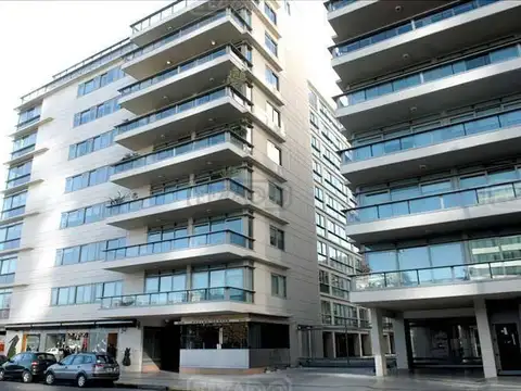 Pierina Dealessi 500