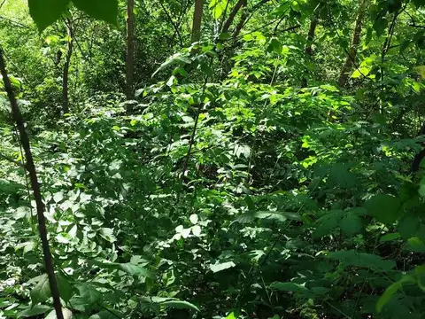 Terreno en Venta en Colonia del Sacramento, USD 26.900