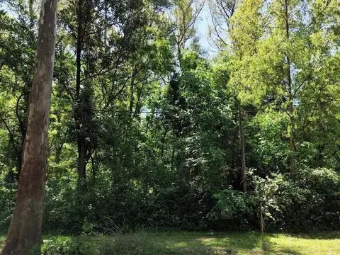 Terreno en Venta de 345,0 m2