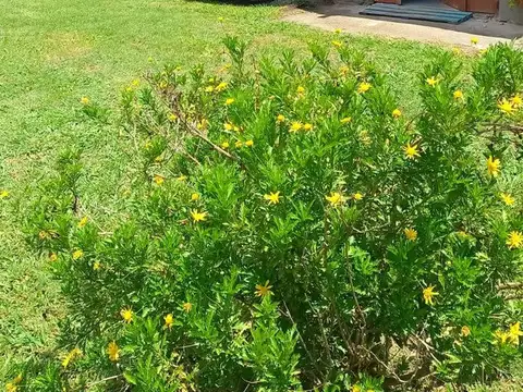 José Hernández 400