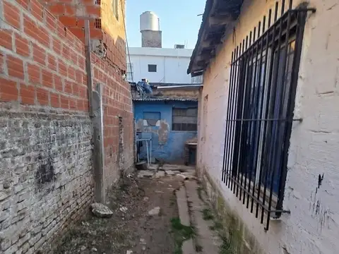 Almancio Alcorta 1500