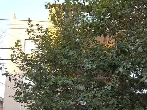 XINTEL(MBA-MBA-93) Departamento - Venta - Argentina, Quilmes Oeste - Saenz Peña 1138