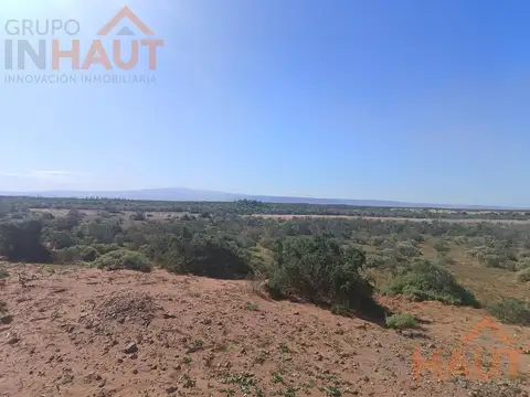 Venta de 366Ha en Añelo