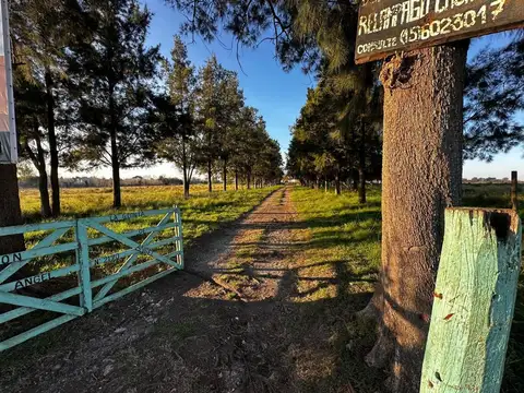 Terreno en Venta de 54000,0 m2