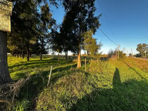 Terreno en Venta en Los Hornos, USD 265.000