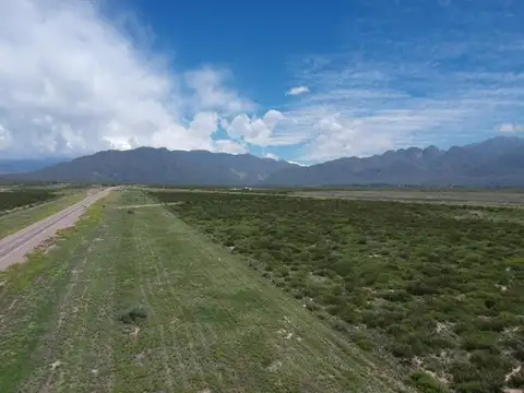 Terreno en Venta de 5000,0 m2