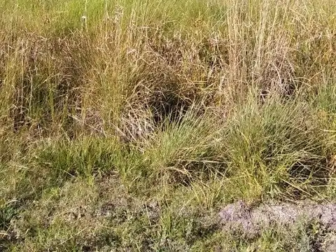 Terreno en Venta de 2500,0 m2