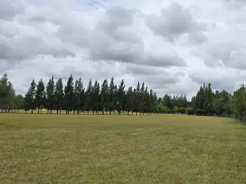 Aristóbulo Del Valle Y La Victoria-brandsen 1350