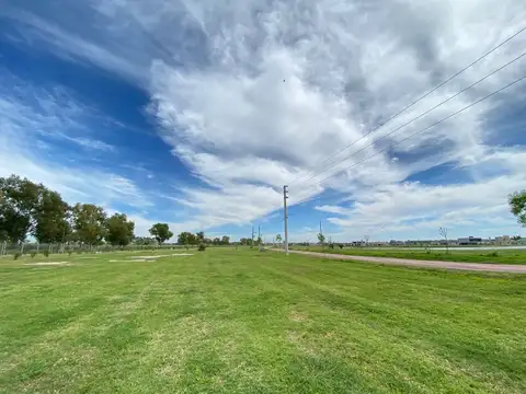 Terreno en Venta de 1000,0 m2