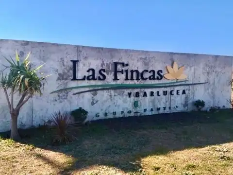 Fincas Ibarlucea  Alfredo Schilla, Ibarlucea, Santa Fe