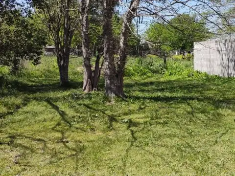 Berutti e/ Matheu y Directorio