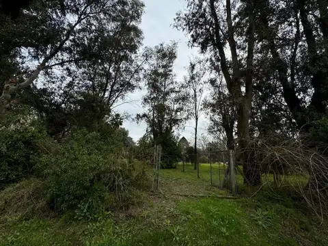 Venta terreno Calle La Pista Maschwitz / Escobar