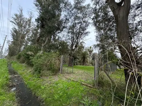 Terreno en Venta de 887,0 m2