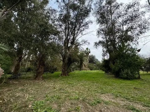 Terreno en Venta de 887,0 m2