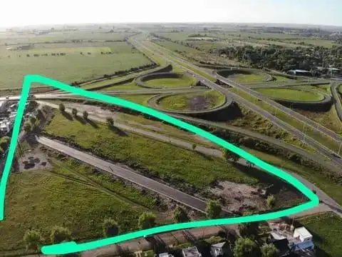 TDS 2 - LOTE ALQUILER DE 24.500 MT