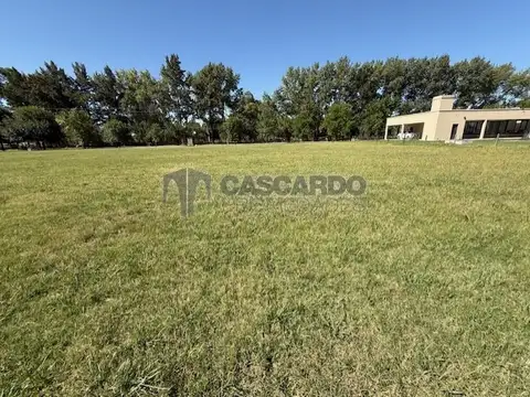 Ruta Pcial 52 Av Mariano Castex 9200