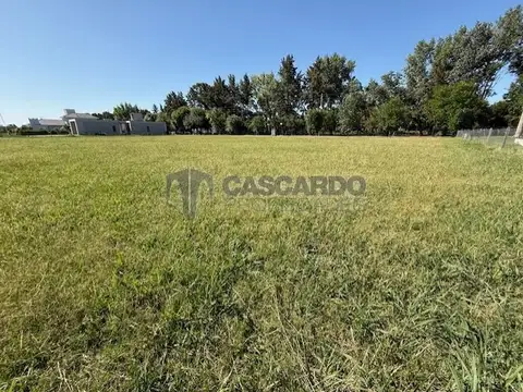Lote de 1725m2 en excelente ubicación y orientación. Apto crédito hipotecario.