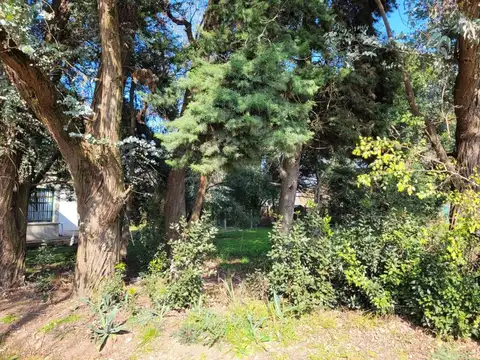 Terreno en Venta en Villa Elisa, USD 53.000