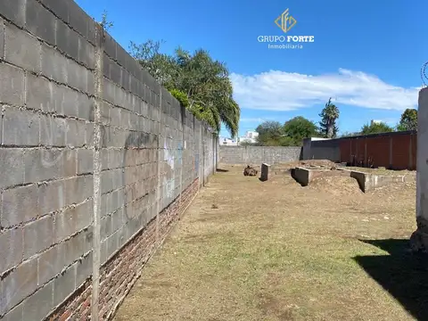 Alberto Nicasio 7127