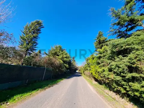 Calle 6 e/ 403 y 407 - Quinta en Solar del Parque - Villa Elisa - La Plata