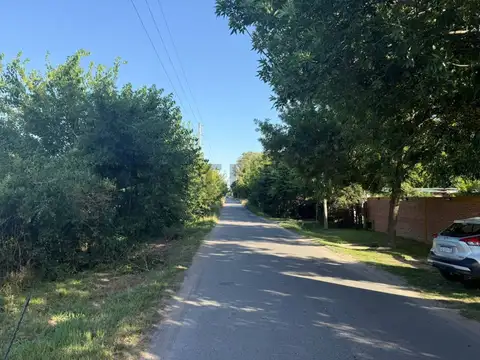 137 entre 419 y 422 , Piso 0