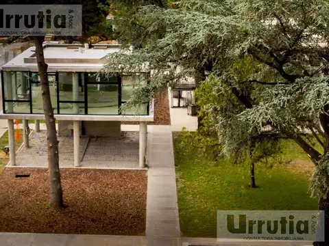 Martin Fierro, Thays