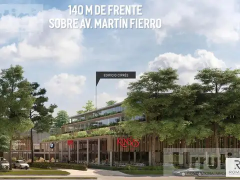 Martin Fierro, Thays