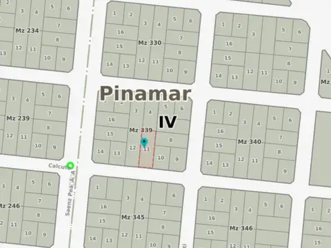 Madre Teresa de Calcuta e/ Avenida Sáenz Peña y Alberti