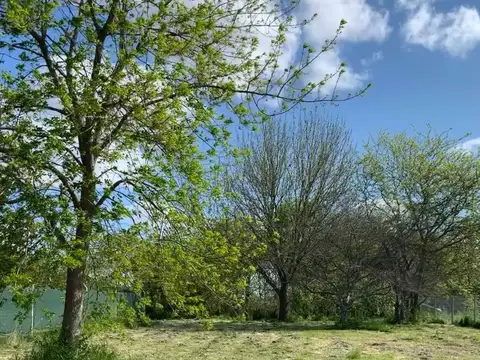 Terreno en Venta en Villa Elisa, USD 119.000