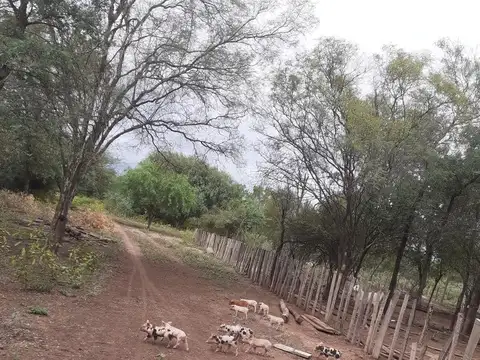 Icaño- Avellaneda- Santiago del Estero