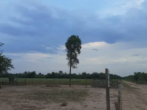 Campo a desarrollar en Icaño- Santiago del Estero
