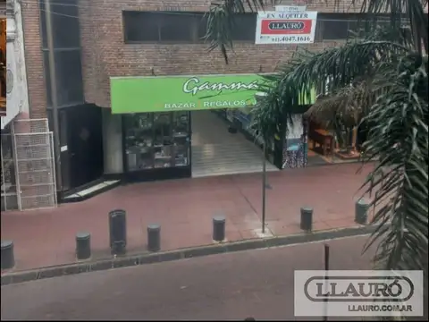 Constitucion  al 600