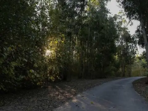 Terreno en Venta en Oliveros, USD 30.000