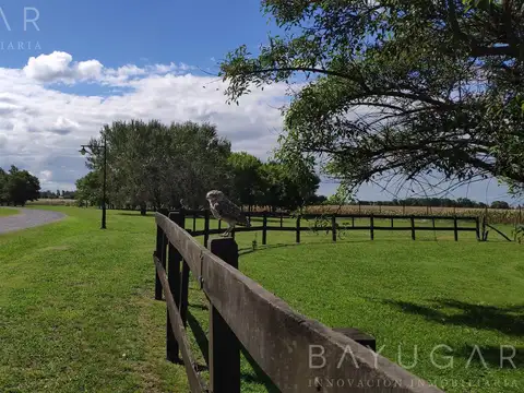 Terreno en Venta de 11000,0 m2