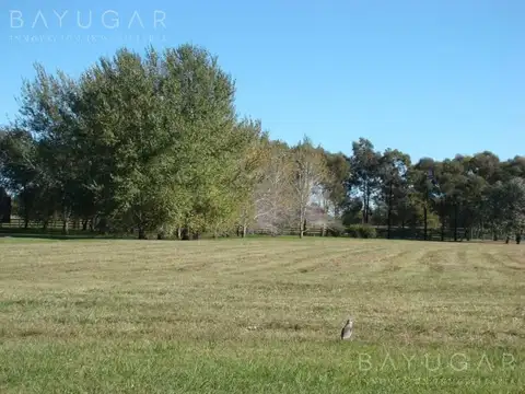 Terreno en Venta de 11000,0 m2