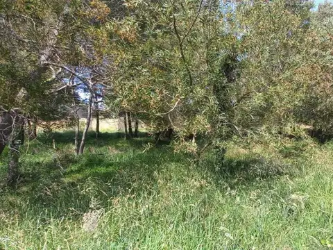 VENTA TERRENO PARQUE BRISTOL