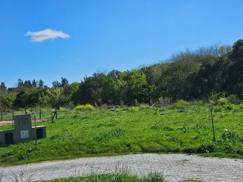 Terreno en Venta 30  mts Fondo