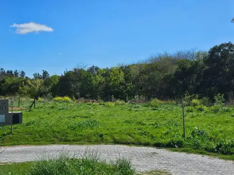 Terreno en Venta de 444,0 m2