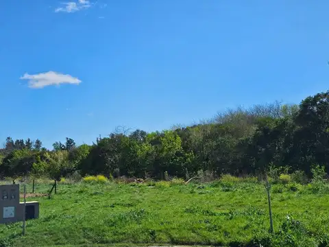 Terreno en Venta en Exaltacion De La Cruz, USD 37.000