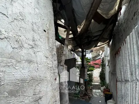 JOSÉ MARÍA PAZ al 1500