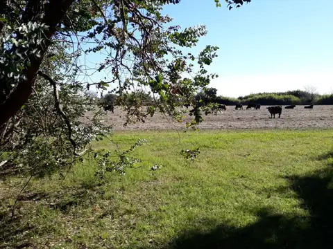 Terreno en Venta de 3,0 m2