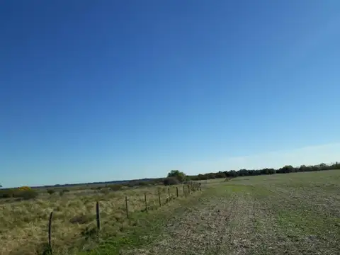 En El Corazon De La Colonia Suiza