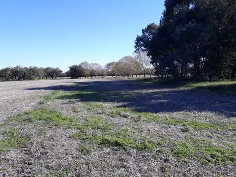 Terreno en Venta de 3,0 m2