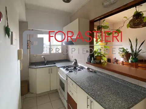 Alfredo Palacios  al 1300