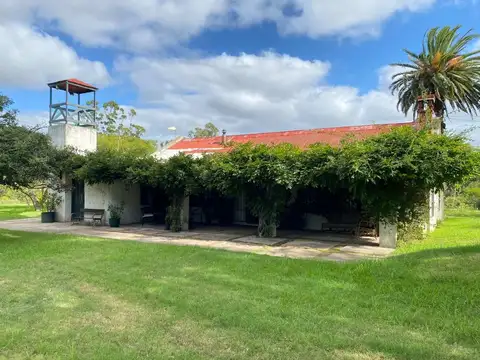 Camino de las Tropas 100