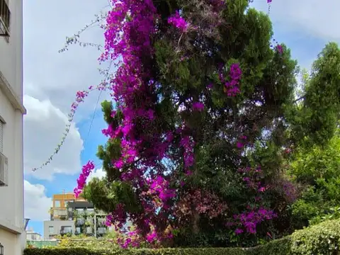 Departamento de 3 amb tipo PH en planta Baja al contrafrente con patio - Caracas al 4700